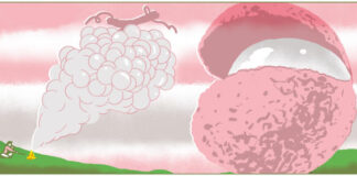 Choosing: Pinot Gris or Gewürztraminer?