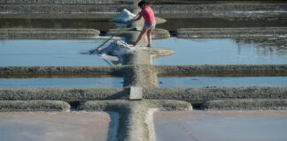 The fight of sea salt producers on the Atlantic coast in favor of a real organic label from the European Union