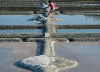The fight of sea salt producers on the Atlantic coast in favor of a real organic label from the European Union