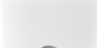 “The Anthropological Question”: Roger-Pol Droit’s “philosophy” chronicle