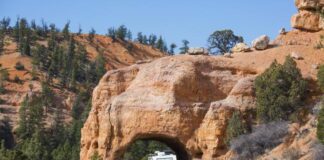 The duty to advise also applies to the purchase of a motorhome