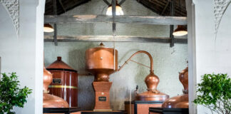 Citadel, in the paradise of stills