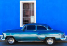 “La Rafle du Vel d’Hiv”, “Monterey”, “Corregidora”, “The Rare Bird”: our reading choices