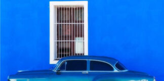 “La Rafle du Vel d’Hiv”, “Monterey”, “Corregidora”, “The Rare Bird”: our reading choices