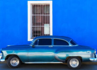 “La Rafle du Vel d’Hiv”, “Monterey”, “Corregidora”, “The Rare Bird”: our reading choices