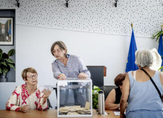 The challenge of taking part in legislative elections in the suburbs of Lyon
