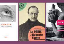 Paris in your pocket! Lydia Flem, David Labreure and Victor Hugo: the “pocket” chronicle of François Angelier