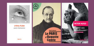 Paris in your pocket! Lydia Flem, David Labreure and Victor Hugo: the “pocket” chronicle of François Angelier