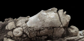 Mayan Maize God Statue Found in Mexico