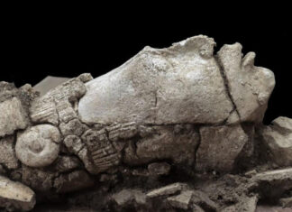 Mayan Maize God Statue Found in Mexico