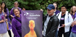 Legislative 2022: the Animalist Party signs a mixed score