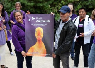 Legislative 2022: the Animalist Party signs a mixed score