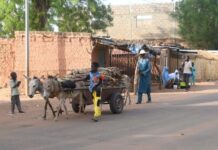 In Africa, democratic chaos aggravates the risk of food crisis