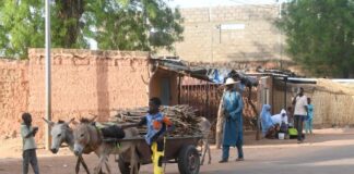 In Africa, democratic chaos aggravates the risk of food crisis