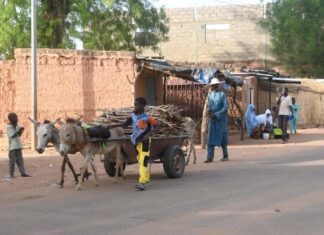 In Africa, democratic chaos aggravates the risk of food crisis