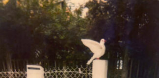 Vincent Dedienne: “It feels good when you make people laugh”