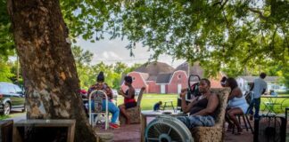 Heatwave in the United States: nearly 100 million people on alert