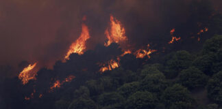 Fires gain ground in Spain, hit by an extreme heat wave