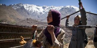 “On the way to school”, on Ciné Famiz: a daily odyssey