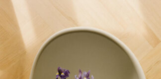 Irises, apples of our eyes