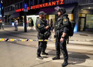 Norway: two dead and several injured in gunfire in Oslo