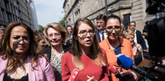 Abortion: the French government will support a bill aimed at enshrining the right to abortion in the Constitution