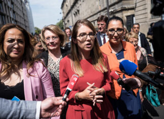 Abortion: the French government will support a bill aimed at enshrining the right to abortion in the Constitution