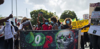 Chlordecone scandal: justice recognizes “wrongful negligence” by the State