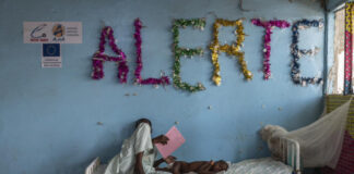 Deprived of Ukrainian cereals, Chad declares “food emergency”