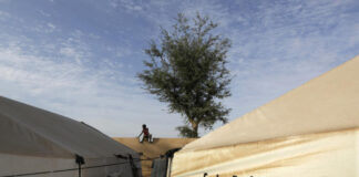 In Mali, two Red Cross employees killed in the Kayes region