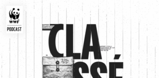 WWF France launches “Classé-F”, an effective audio thriller to talk about deforestation