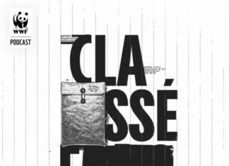 WWF France launches “Classé-F”, an effective audio thriller to talk about deforestation