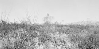 Rencontres d’Arles: Julien Lombardi’s fragmented view of Wirikuta