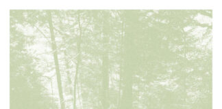 Les Rencontres d’Arles: the wilderness of Léa Habourdin