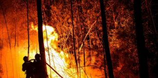 Hundreds of firefighters fight against a “megafire” in the Gard, “still active”