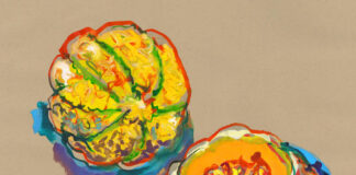 The melon, one product, two possibilities