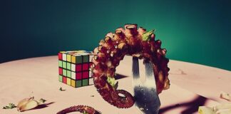 Can you still eat octopus?