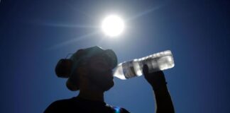 Heat wave: with temperatures up to 37°C, seven departments placed on heat wave orange vigilance in the South West