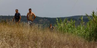 The strong heat wave in France is expected to last a week, peaking on July 18 and peaking at 40°C in some areas
