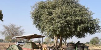 The north of Togo targeted by an attack, the authorities fear victims