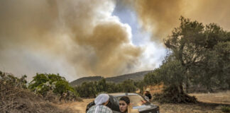 In Morocco, violent forest fires leave one dead and hundreds displaced