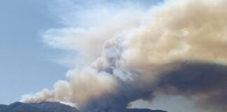 Europe suffers from heat wave: historic “red” alert in the United Kingdom, dozens of fires in Spain