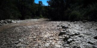 France under the heat wave: 38 departments on orange alert, temperatures will rise until the start of the week