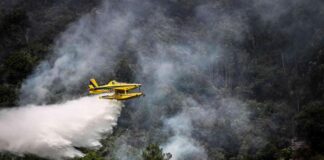 Western Europe still struggling with fires under the effects of the heat wave