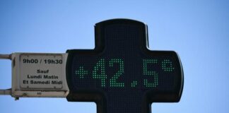 France under the heat wave: 15 departments on red alert, “a heat apocalypse” scheduled for Monday