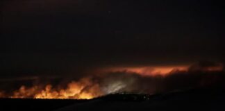 Fires: in Gironde, nearly 15,000 hectares burned and 32,000 people evacuated