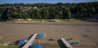 Heatwave in France: heat moves east, with temperatures between 37°C and 40°C