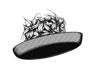 The bibi of Elizabeth II, the queen’s second crown