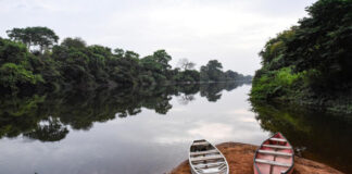 In Kigali, African States at the bedside of nature