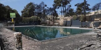 Heatwave: “Today, we see the development of climatorasurism: we no longer deny the problem, but we minimize it”